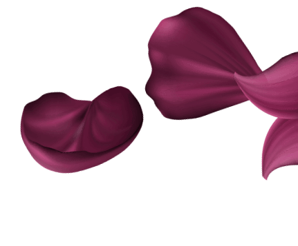 Güzellik Bakım Ürünü